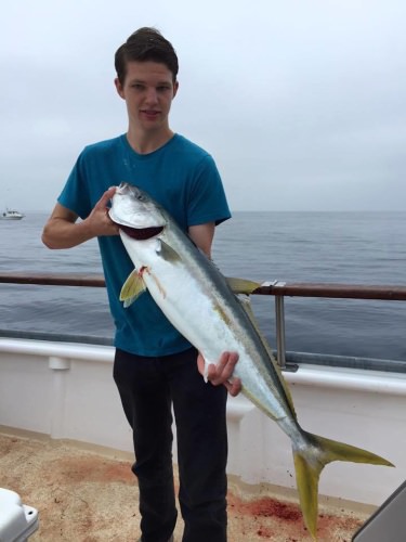 Anyone been keeping up with the offshore action on the West Coast?  Yellowtail action has been insane!