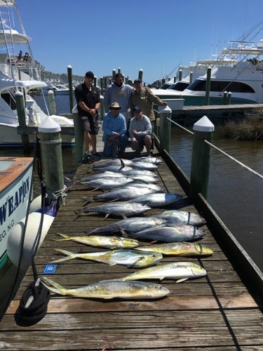 Rare open dates for a HOT tuna bite! Go fishing on May 17th, 22nd, 25th, or 30th! 844-655-0466

http://bit.ly/2crzltv

Capt. Dennis Endee of A-Salt Weapon Fishing reports that the tuna fishing is GREAT right now! You can be back home by 11:00 AM with a box full of tuna and some mahi!

#Fishing | #Adventure | #Limits | #FinAndField