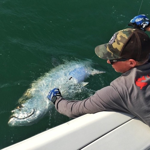 Nice up close and personal Tarpon shot from RCI Optics ( Right Coast Independent )! #Adventure #Fishing #FinandFied #RCIOptics #TheAdvantageisClear