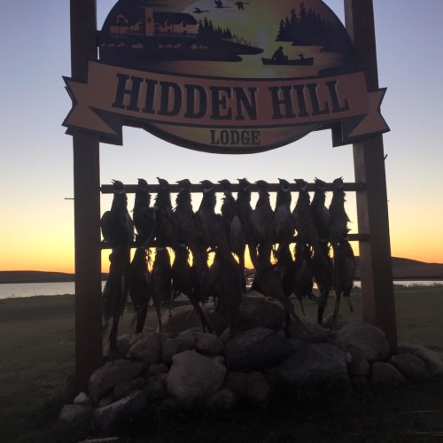 Sunset on another successful pheasant hunt at Hidden Hill Lodge. Book your hunt at www.finandfield.com. #Pheasant #Hunting #FinandField #HiddenHillLodge