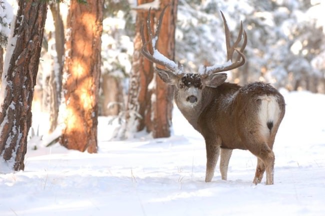 Nothing like the great outdoors! Find Your Next Adventure at www.finandfield.com. #Wow #Adventure #FinandField