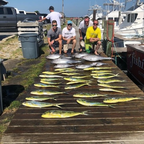 We got a few nice ones today!#fishinfrenzy #moritacustomgaffs #wickedtuna #pennfishing #durabritelights #cudabrand #purefishing