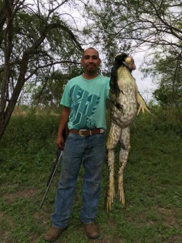Is the monster bullfrog real or fake? 

#Hunting | #Adventure | #TX | #Monster | #FinandField