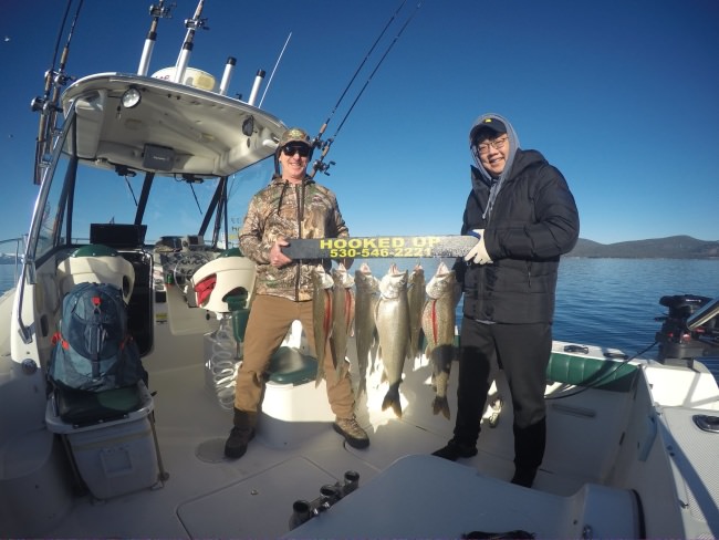 Great fishing with you guys, as always 
mixed bag of sizes there,  great looking fish 😎