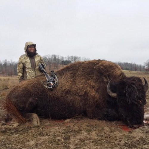 Wilderness Hunting Lodge (http://bit.ly/2ozuXj4), when you want to persevere through a long hunt in the rain and the mud...because you know the payoff will be huge!