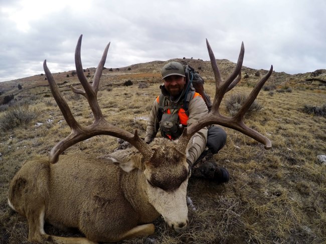 Monster Montana Mule Deer for Mr. Matzinger. #Hunting #Montana #TheSportsmanChannel #FinandField