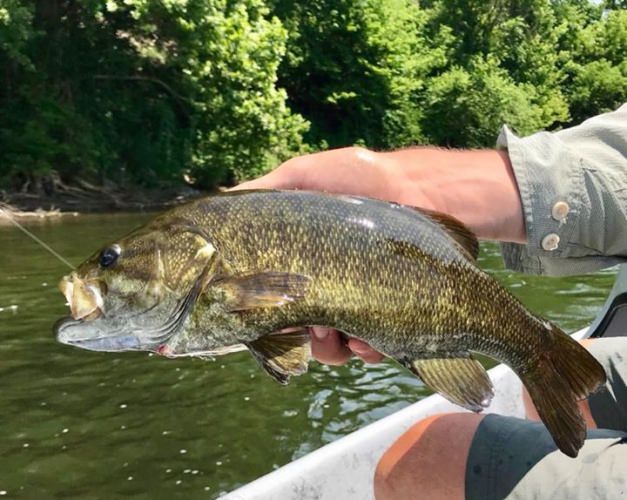 I will be at Tie Fest today and tomorrow. I will have a booth tying flies and talking smallies. I will also be doing a presentation on Saturday at 11:30 am and Sunday at 12:30 pm.