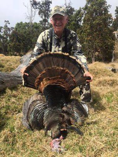 Turkey season in Hawaii is going well for Nahele Outfitters. #Hunting #Turkey #Hawaii #FinandField
