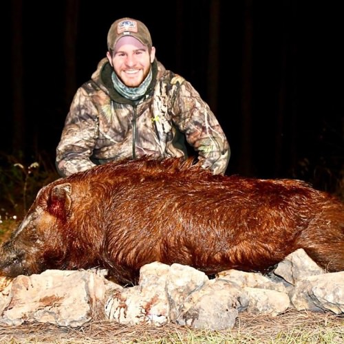 Big Red is dead!  After not getting a shot in the past two years, Drew was rewarded with this magnificent boar. His entire family shot and killed hogs on the 2 night hunt. Family, friends, food! #redblufflodge #schoghunting #nighthoghunting #familyhunting @elusivewildlife @streamlightinc  @ Red Bluff Lodge