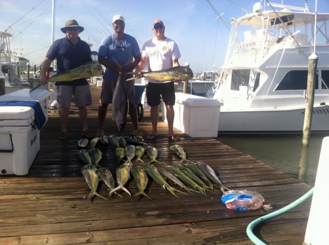 Capt. Joe is back in OC and had great week. #RhondasOsprey #Fishing #FinandField #SunsetMarina #OceanCity
