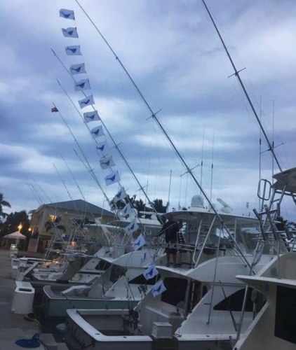 Capt. Randy Yates and crew on the Miss Annie Charters got 18 sails out of Sailfish Marina in Palm Beach, Fl. 

#FlyZoneApproved | #Fishing | #Florida | #FinandField | #PalmBeach