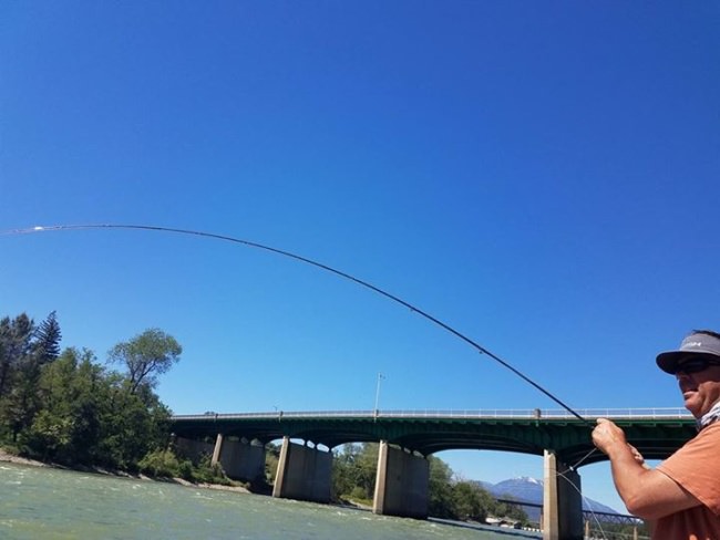 Lots of bent rods to be had on the Lower Sac right now. Lots of smiles, lots of good times and tight lines with to many fish to count.

It's gonna be 13k by Sunday, but that won't bother the fishing.

I still have a few days remaining in the next 2 weeks if your looking to get bent.

Time to get out and get you some.
Tight Line
Brian
#norcalflyguides 
#northerncaliforniaflyfishingguides  #norcalflyfishing #flyfishing #tugisthedrug #norcalflyfishing #tightlines #lowersac #keepumwet #catchandrelease #clackacraft #proloks #repyourwater #findyourwater #seewhatsoutthere #keepumwet Fly Fishing Specialties Off the Hook Fly Fishing Hardy Fly Fishing Sage Fly Fishing Temple Fork Outfitters Redington RIO PRODUCTS ClackaCraft Drift Boats Custom Drift Marine