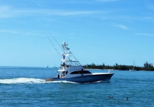 Fleet coming in after Bluewater Movements, Inc. Final Sail Day 2.
#Fishing | #FinalSail | #KeyWest | #FinandField | #FishBluewater