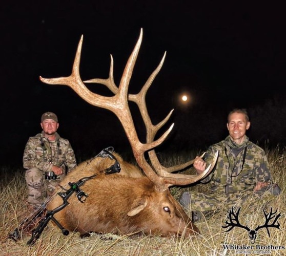 Whitaker Brothers Hunting Company is off to a great start in Colorado. Who wants to go hunting? #BookAHunt #Hunting #Archery #Elk #CO #Adventure #FinandField
