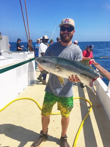 Sharks gotta eat too! At least this shark was nice enough to share and left some usable bits...