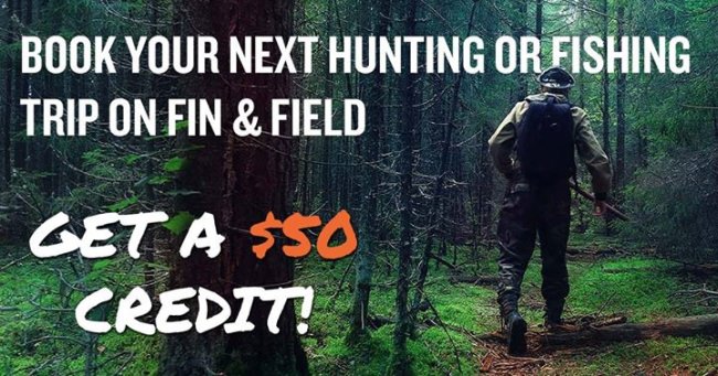 Planning a guided hunt this fall? Know someone who is?

Share this!

Book Here - http://bit.ly/2cAgM3M

#Hunting #DreamBig2016 #FinandField