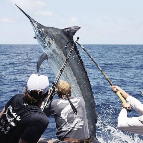 Fly Navarro is an instructor at Marlin University and the host of the Fly Zone Fishing Giveaway in Fin & Field (http://bit.ly/2wvB6S8). Enter for a chance to fish with Fly for 2 days aboard Miss Britt Charters. You can rest assured that you will learn a thing or two!

You will also get a $1000 Grundéns shopping spree and a $1000 travel credit. Enter NOW! http://bit.ly/2wvB6S8

#FlyZoneFridays