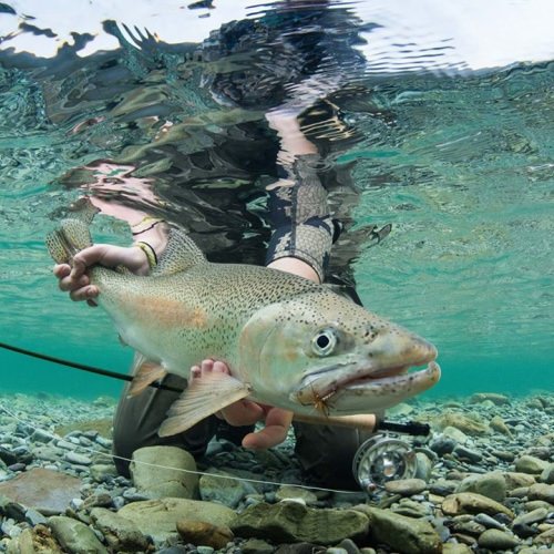 Awesome pic from Jim Klug Outdoor Photography and Costa Sunglasses

#Trout | #Adventure | #Amazing