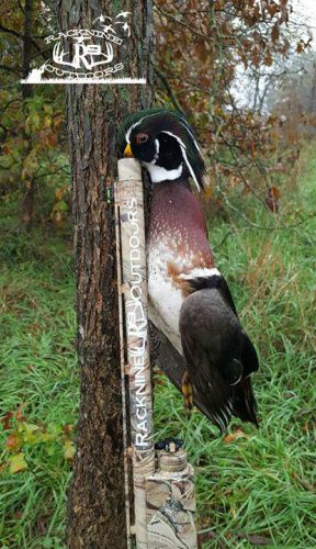 Terry and Ryan are headed back to Racknine Outdoors Northern Missouri farm for some hot waterfowl action! It's not too late to book your hunt for this year! It's time for the lil virus know as "feather deficiency syndrome" and we have just the cure! Call Terry Garrett  (770)843-3434 or Ryan Efird  (704)322-7371 today!
#racknine #drakewaterfowl #xtremeducks #shichyea