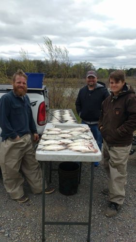 Jerry, Sonny and Bud showing off their Lake Eufaula catch today. It was a cold day, I was dressed like it was February, but the crappie were still catchable. All fish came from deeper structure. Had some good memories with these guys today. Thanks for Fishing with D&K Guide Service. #lakeforktackle helped us out on the front bite.