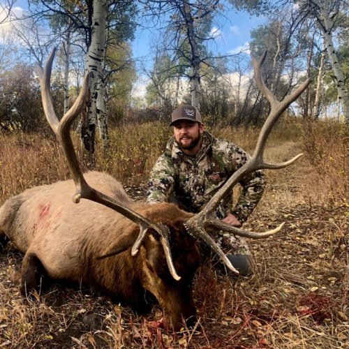 #WOW Look at this monster from Beaver Valley Ranch Outfitters.
#Hunting #BeaverValley #Colorado #FinandField