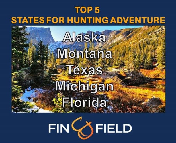What would your top 5 states for hunting adventures look like?

#Hunting | #BookAHunt | #TopOutfitters | #Top5 | #FinandField