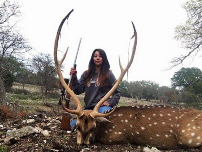 Is an Axis deer on your bucket list? Find and book your hunting trips at www.finandfield.com #Hunting #Deer #Texas #FnF #FinandField