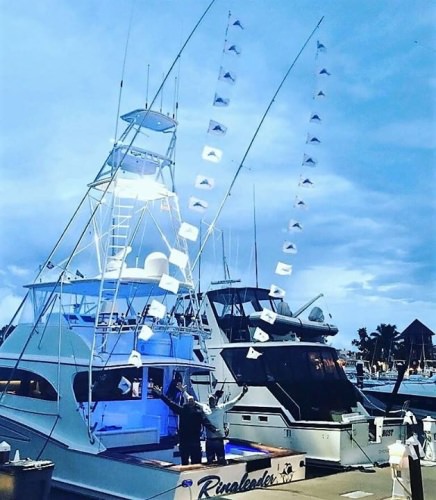 Capt. Scott Walker from Into the Blue and crew had one heck of a day off Key West. 

#SailFishing | #Ringleader | #IntoTheBlue | #Fishing | #FinandField