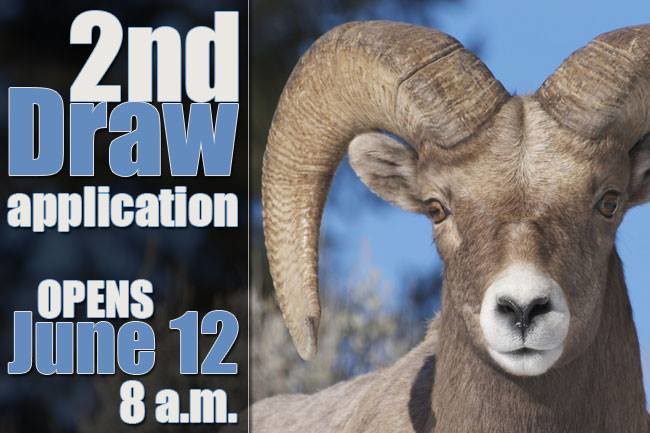 Interested in hunting the state of Nevada? #Hunting #Nevada #FinandField
