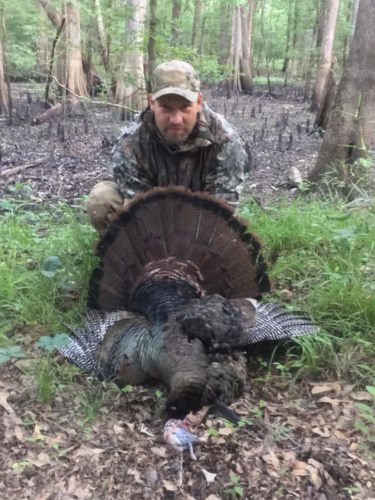 What a great way to end turkey season!  Jamie Cook crumpled this gobbler at 15 steps!