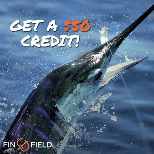 Sailfish season in Florida is around the corner. Plan your trip now and get a $50 credit when you book through Fin and Field.

http://bit.ly/2ctkMIj

#Sailfish | #Fishing | #Islamorada | #Florida | #FinandField | #Adventure
