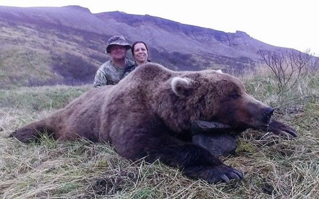 Spring bear hunt with Kitchel's Alaska Guide Service pays off! Book an Alaska hunting adventure at Fin & Field.  

#Bear | #Hunting | #Alaska | #FinandField