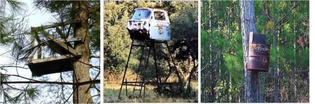 Which DIY hunting stand would you pick?  #Hunting #FinandField