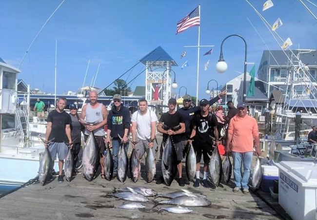 Rare Opening on Restless Lady Charters! Do not miss your chance - Call 888-476-7961. #BookATrip #GoFishing #VisitMaryland #RestlessLady #OCMD #FinandField