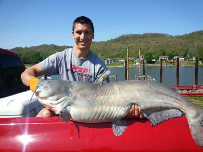 State record catfish! #Fishing #WestVirginia #OhioRiver #WVU #Catfish #FinandField