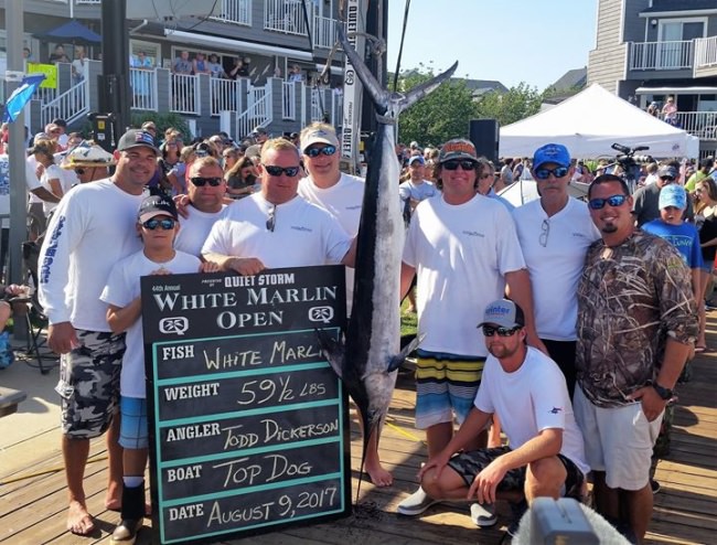 Capt. Ryan Knapp and Top Dog thought they had a white marlin for the money but it came up light.
#WMO | #FinandField | #OCMD | #Fishing | #Marlin | #TopDog