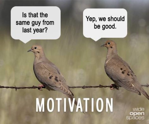 Remind you of anyone? Tag your hunting buddy. #DoveHunting #Hunting #FinandField #WideOpenSpaces