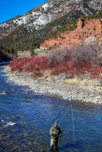 Fishing Vail Valley in Colorado takes you to places most people will never see & the fishing is incredible. Book a Rocky Mountain fishing adventure at Fin & Field. 

#VailValley | #Anglers | #Fishing | #FinandField