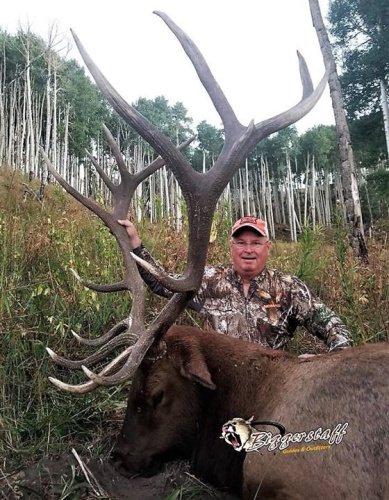 Brad got this 1st Colorado Elk with Biggerstaff Guides & Outfitters, LLC. #CO #Elk #MakingMemories #FinandField