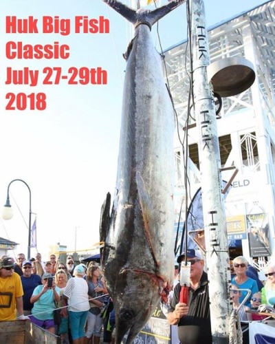 Tournament Time - The Huk Big Fish Classic  projects over $500,000 in payout for 2018. Sign up for as little as $600! Check out details at  www.bigfishclassic.com! Hope to see you at the scales on Talbot Street Pier and M.R. Ducks in Ocean City Maryland!

#BigFishClassic | #Huk | #OCMD | #MRDucks | #FinandField