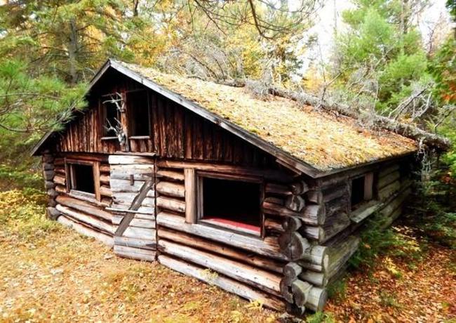 Would you rehab this abandon cabin? What state do you think it is in? #Adenture #Outdoors #Hunting #FinandField