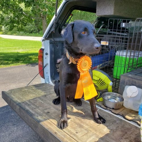 Jammer got another pass today one more till he gets  a title.