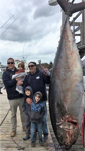 Pending North Carolina Bluefin State Record for A-Salt Weapon Sportfishing Charters. 113 inches long,78 inch girth 
Weighting in at 877 pounds!

#Fishing | #NC | #OBX | #Tuna | #FinandField