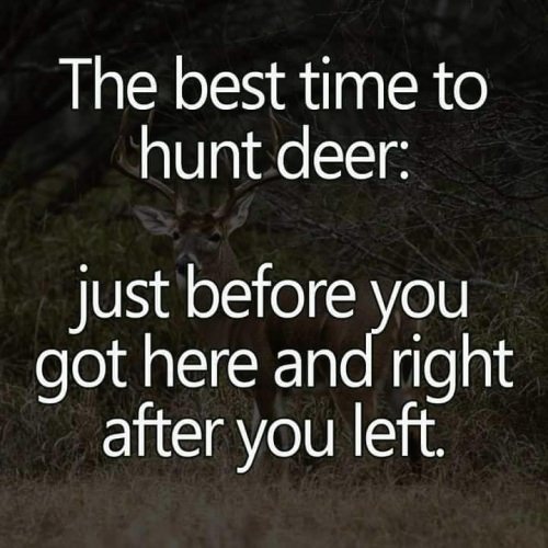 Another Friday factoid!!