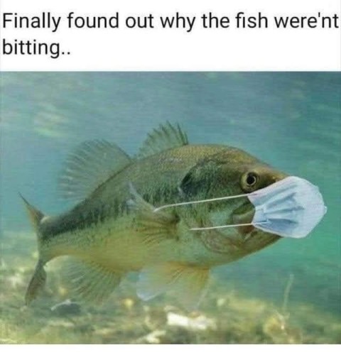 Friday fact........,.