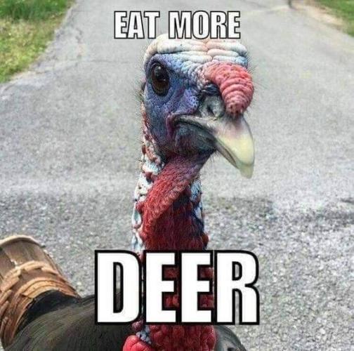Gobbler PSA: