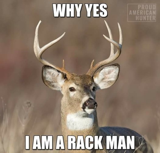 And will be in 2018 too!!