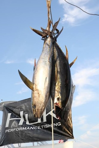 The 31st Annual Ocean City Tuna Tournament Presented by HUK kicks off Friday at the Ocean City Fishing Center & Micky Fins Bar & Grill! Get in on the fishing action or stop by the scales. #Huk #Tuna #OceanCity #Fishing #OCFC #FinandField PC: OCFC