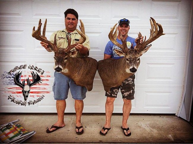 Check out these mounts! Three Lakes Trophy Ranch just delivered them to the guys from No Quarter Sportfishing. This is what happens when Fin & Field charter operators go hunting at a Fin & Field lodge! 

http://bit.ly/2sR4fk3

Papa's Pilar | #PapaWouldBeProud | #LiveTheLegend | #PapaHemingway | #Hunting | #Adventure | #Endorsed | #Deer | #TrophyBucks