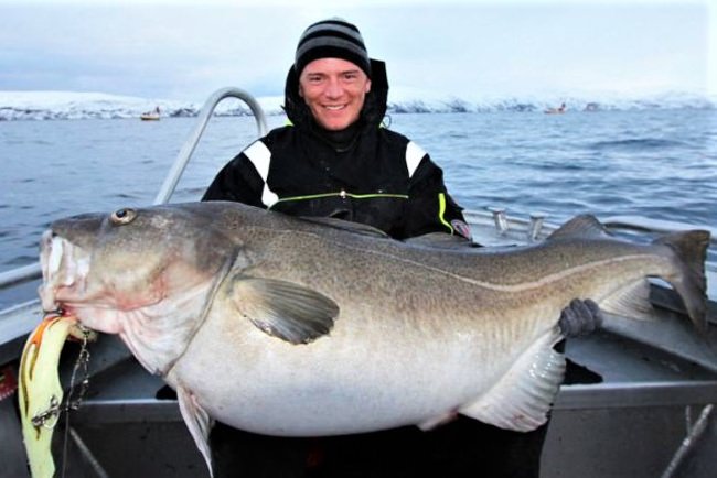 How many pounds was this monster cod?
#Fishing #Fishtale #Record #FinandField